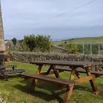 El Pino * Cóbreces