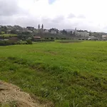 El Pino Cóbreces