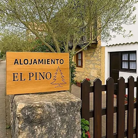 Hostel El Pino Cobreces