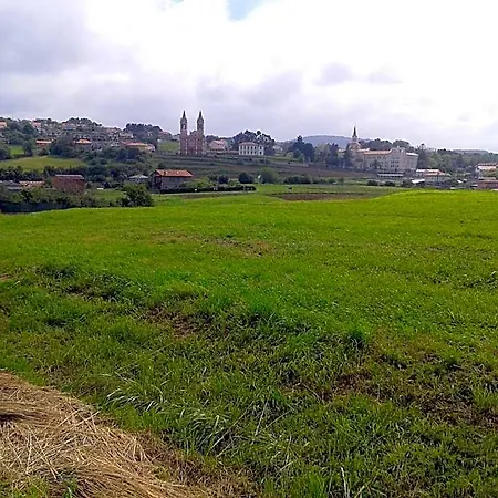 El Pino