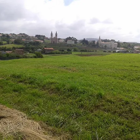 El Pino Cobreces
