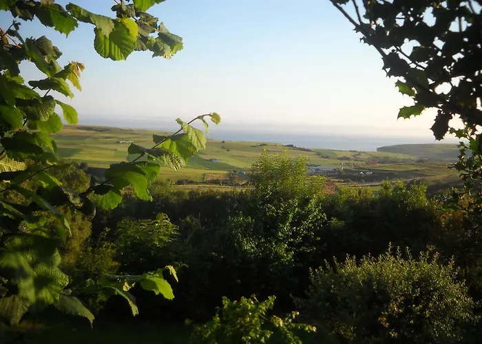 Hostel El Pino Cobreces