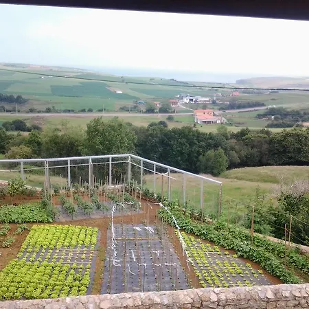 Хостел El Pino *