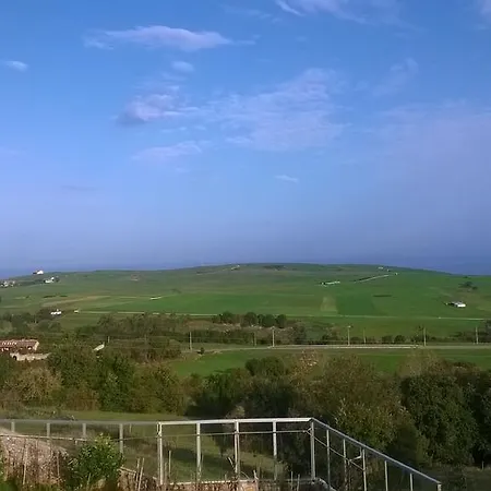 El Pino Кобресес